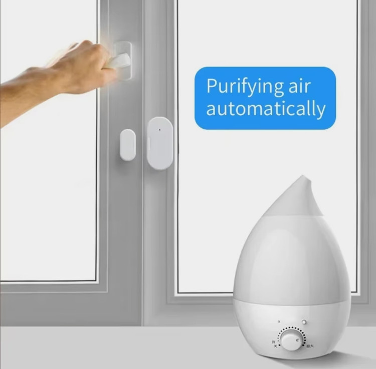 سنسور مگنتی