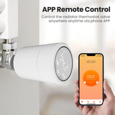 کنترل دما از راه دور